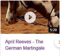 April Reeves Horsemanship German Martingale video Part 1